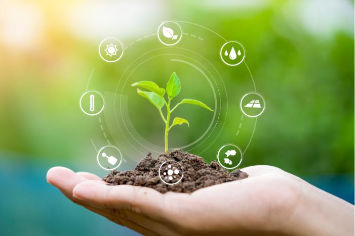 Pembersihan Lahan & Persiapan Tanam